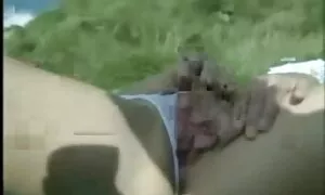 سبزه زیبا در خورشید دروغ می گوید دانلود بازی سکس برای اندروید